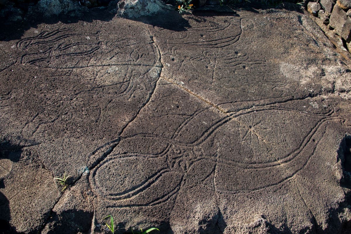 Learn Rapa Nui language