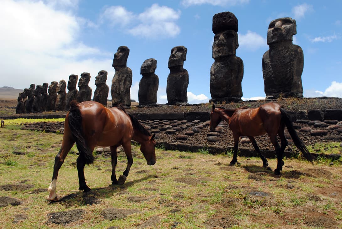 Horses by the 15 moai statues of Ahu Tongariki