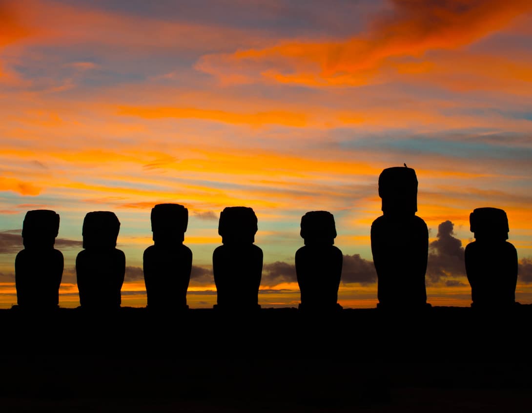 Bird on moai head at Ahu Tongariki