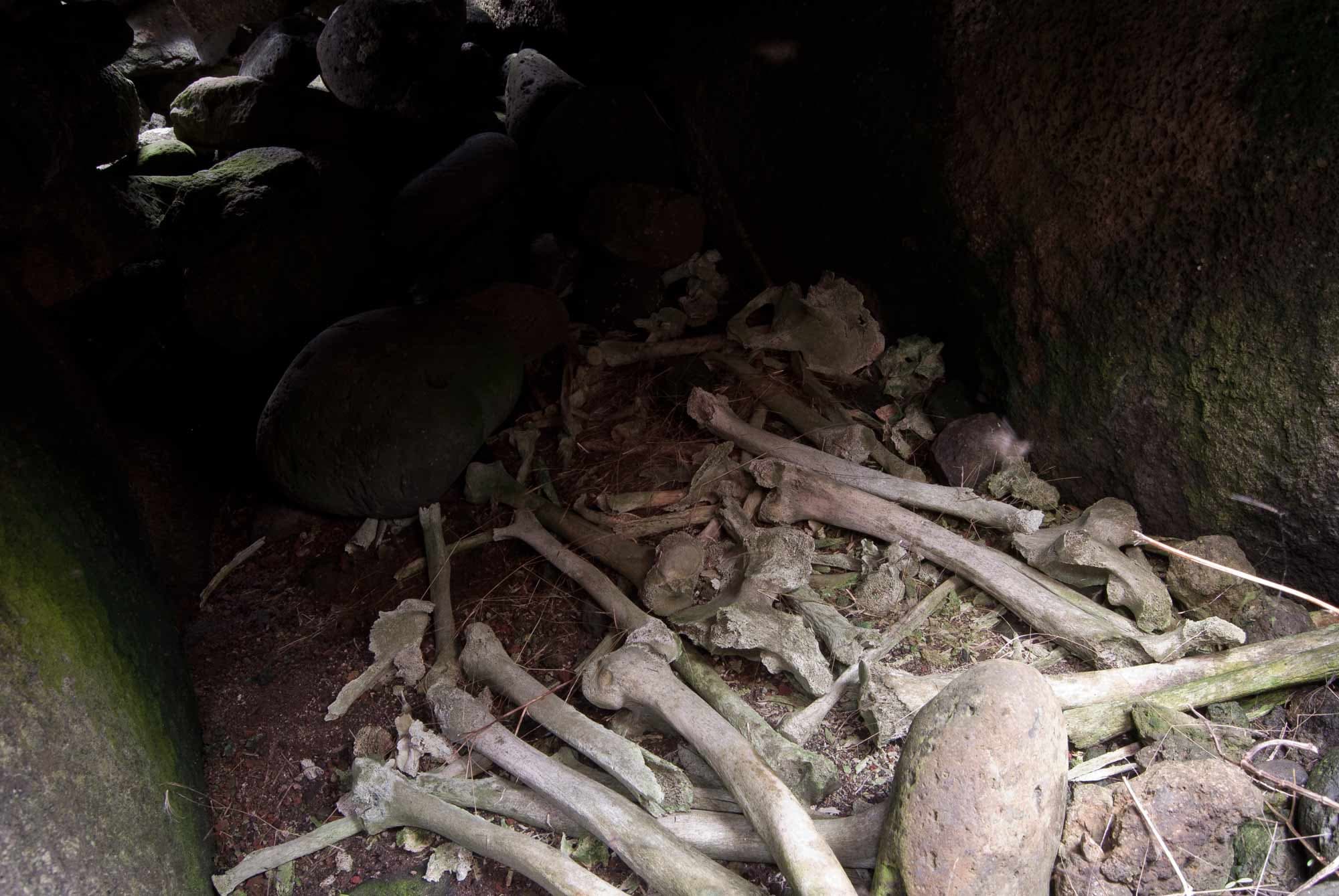 Ancestral bones, ivi tupuna, in ahu - Rapa Nui grave