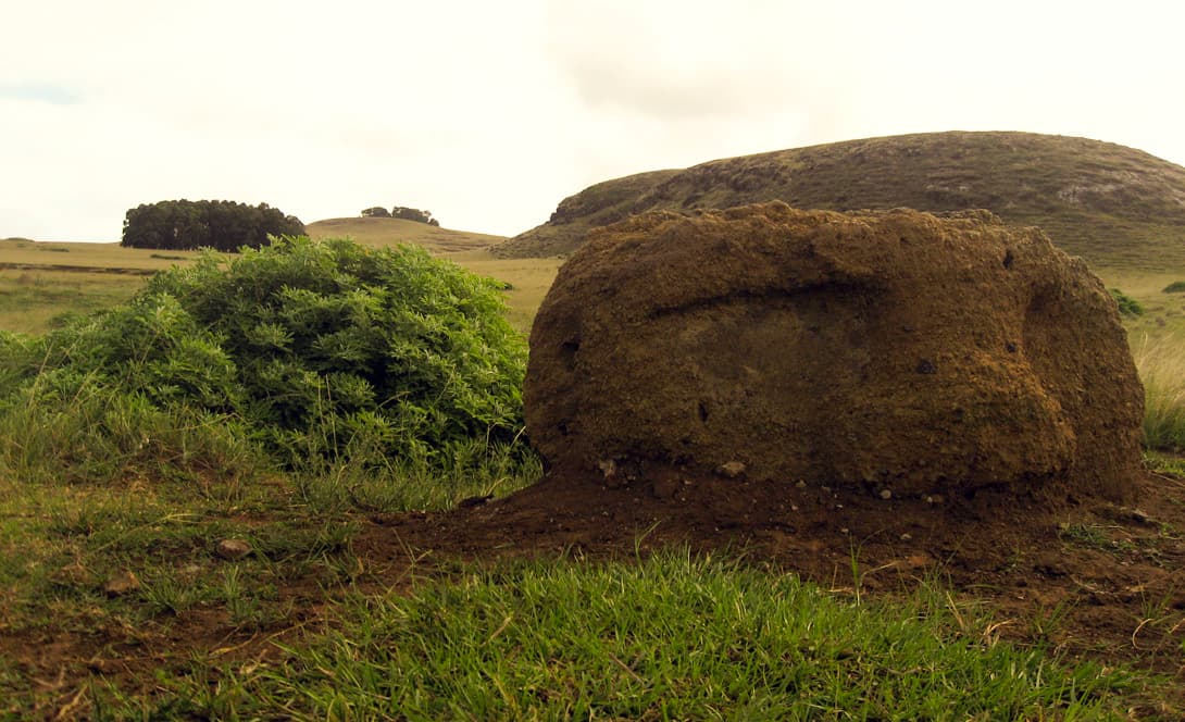 Early moai statue almost buried at Poike volcano