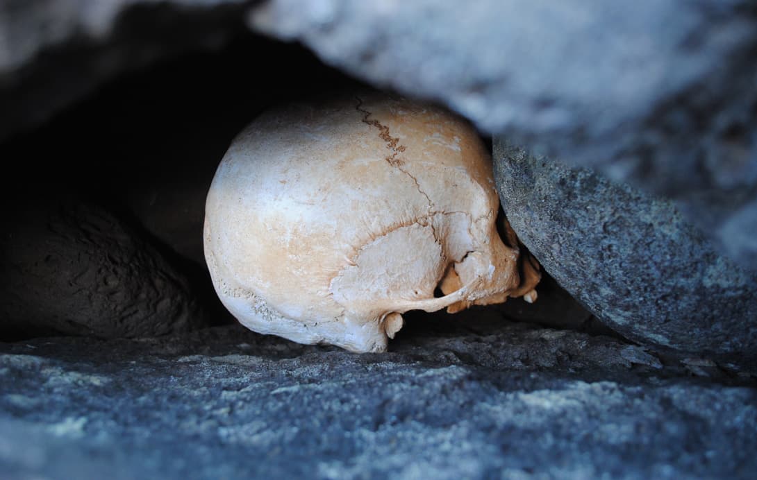 Easter Island skull jammed between rocks