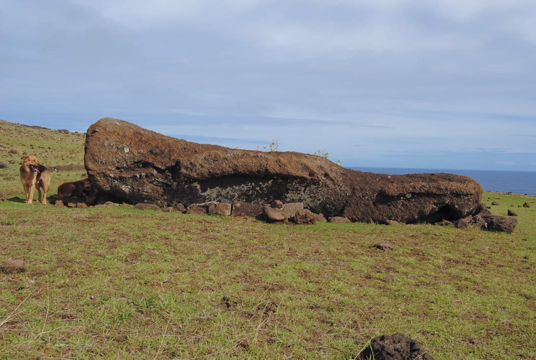 Moai statue fallen during transportation in Omohi along north coast.