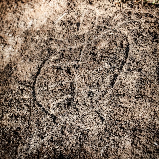 Petroglyph of a turtle by Ahu Tongariki