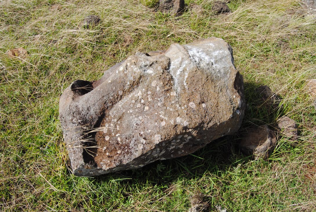 Head of a moai statue of gray trachyte rock