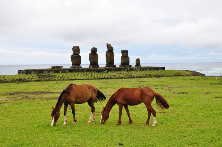 Horses grazing in front of Ahu Vai Uri at Tahai on Easter Island.