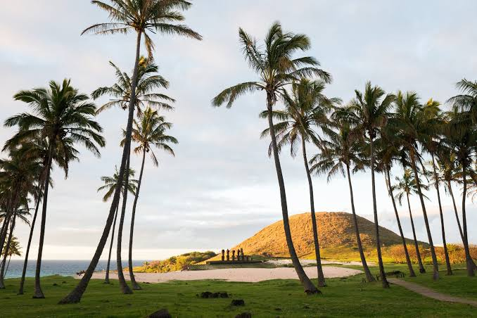 Anakena Beach with Ahu Nau Nau and palm trees during a tour of Easter Island.