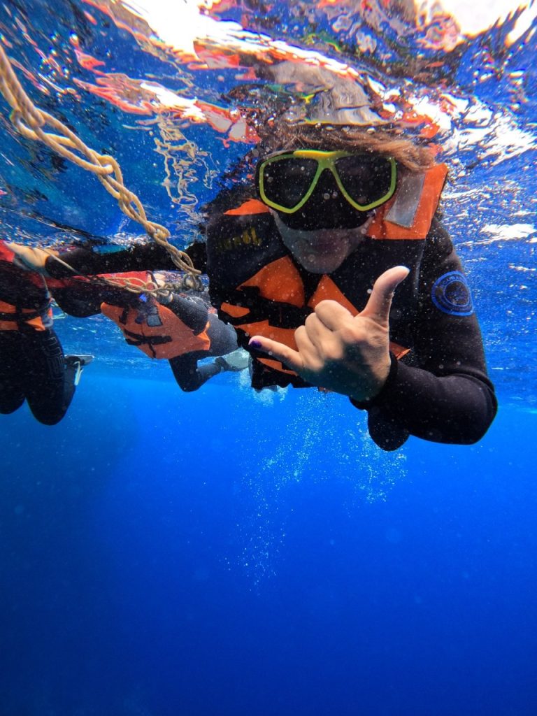 English (WordPress Fields)

Alt Text:

A person wearing a life vest, snorkel mask, and wetsuit making a shaka hand sign while floating near the surface in Rapa Nui.