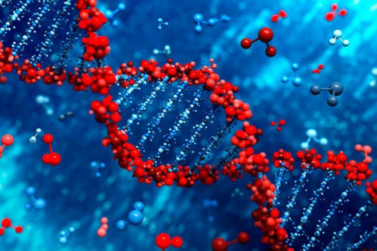 DNA sequences and genetic family trees analyzed by Stanford and UC San Diego