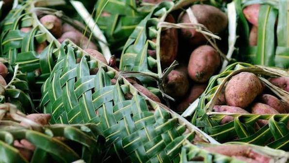 Rapa Nui Navigators portable ecosystem including taro roots and sweet potatoes