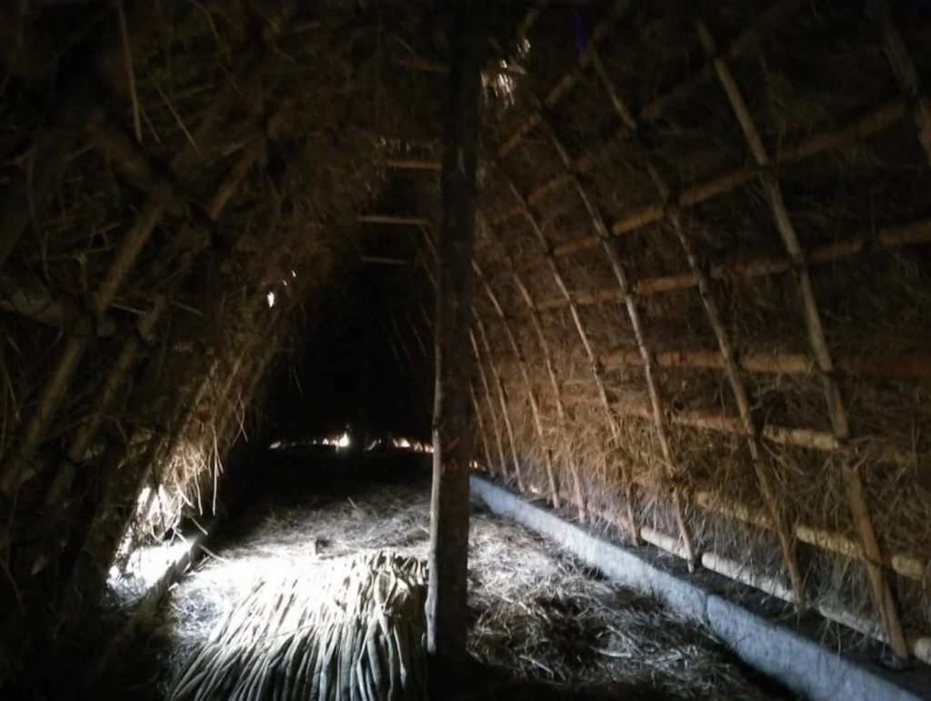 Hare Paenga were low and elongated structures, typically ranging between 12 and 16 meters in length. Here you can visualize what one of them looked like from the inside