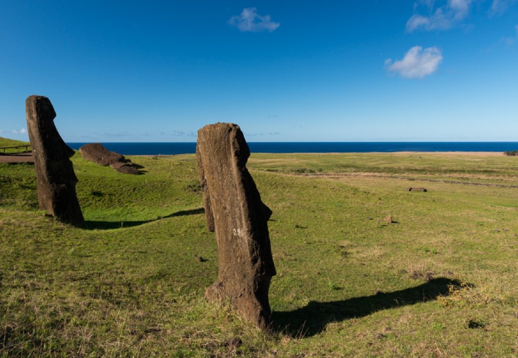 Debido al clima subtropical de Rapa Nui, es ideal llevar una chaqueta liviana o cortaviento, ya que puede haber variaciones repentinas de clima, lluvia o viento, y también funciona como protección adicional frente al sol.