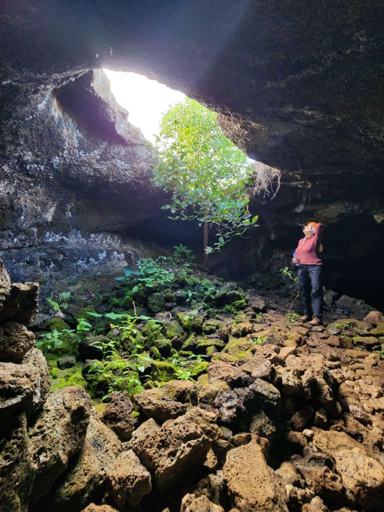A tourist exploring the interior of a massive volcanic cave in Rapa Nui, with lush green plants growing under a natural ceiling opening.
