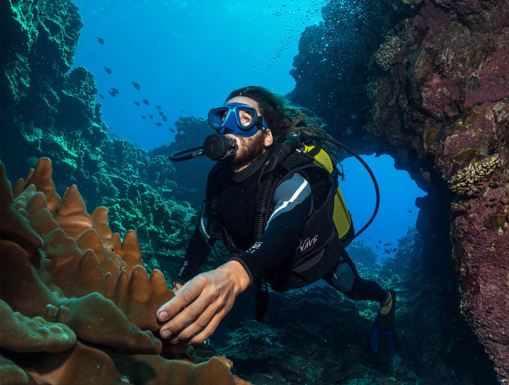 Buceador examinando corales y formaciones rocosas en el fondo marino de Rapa Nui.