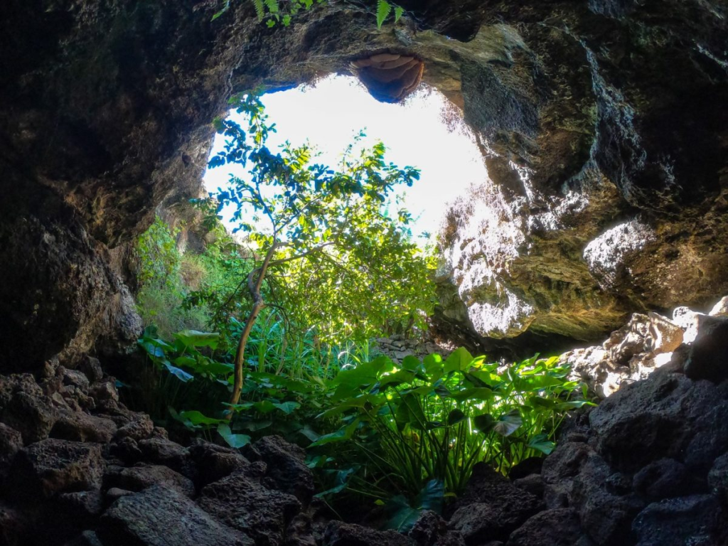 Inside a volcanic cave in Rapa Nui, with lush green vegetation and sunlight visible through the cave entrance.