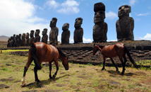Horses by the 15 moai statues of Ahu Tongariki