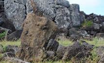 Broken moai statue head with whole statue in rock wall