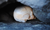 Easter Island skull jammed between rocks