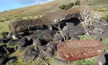 Fallen moai at the north coast