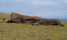 Moai statue fallen during transportation in Omohi along north coast.