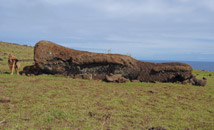 Moai statue fallen during transportation in Omohi along north coast.