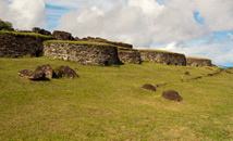 Hare keho Orongo birdman houses