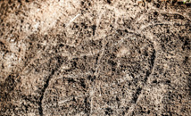 Petroglyph of a turtle by Ahu Tongariki