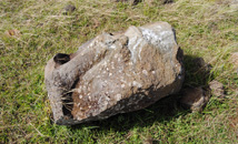 Head of a moai statue of gray trachyte rock