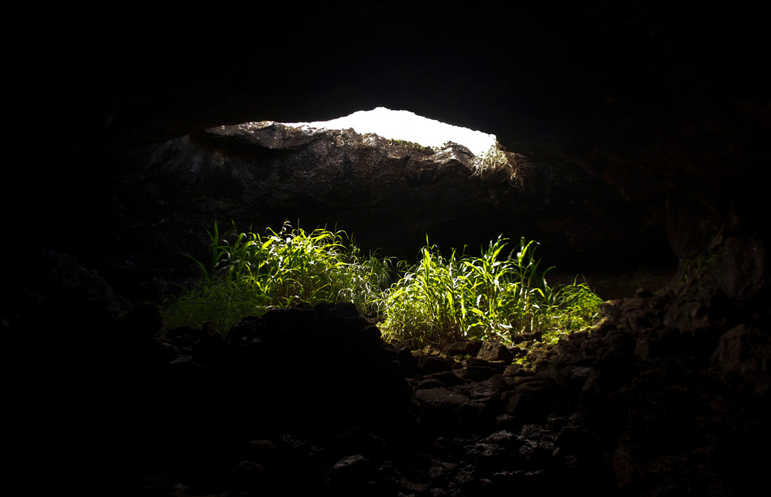 Sunlight through a ceiling opening in Ana Te Pahu lava tube