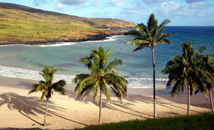 Anakena beach with palm trees