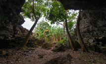 Entrance of lava tube cave Ana Te Pahu at Rapa Nui (Easter Island)