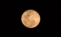 Close-up of full moon