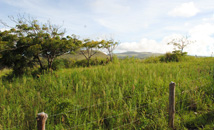 Green grass field with hills in background