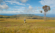 Elderly man enjoying Terevaka hike view at Rapa Nui (Easter Island)