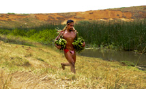 Man running race with bananas at Tapati Rapa Nui festival, Easter Island