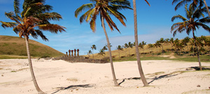 Easter Island beach Anakena palm trees woman