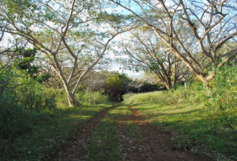 Orongo hiking trail