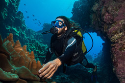 Primer plano de buzo sosteniendo corales con cardumen de peces.jpg