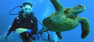 Scuba diver with turtle in ocean